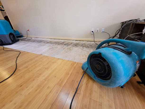 Professional Sewage Cleanup technician working in Holgate, OH